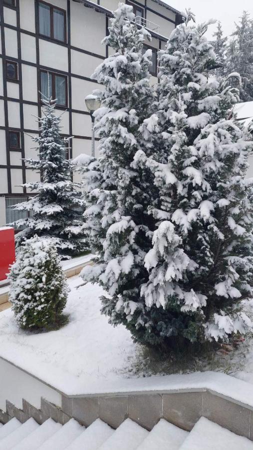 Falling Star Apartman Brzeće Dış mekan fotoğraf